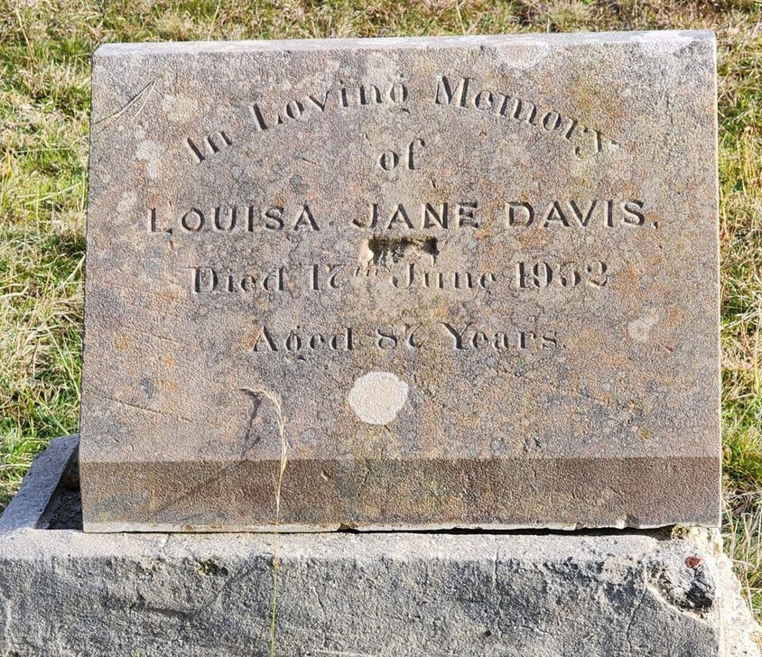 Davis Louisa